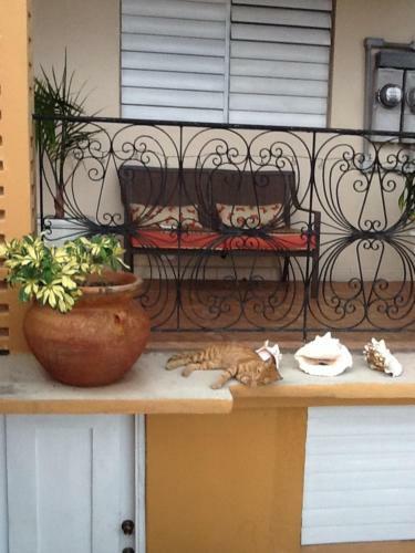 Richmond Bed And Breakfast