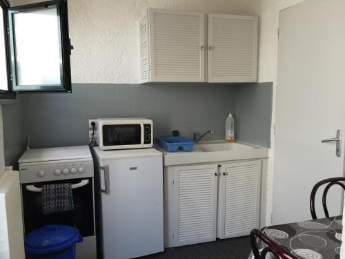 Aparthotel H�tel-r�sidence Le Grillon