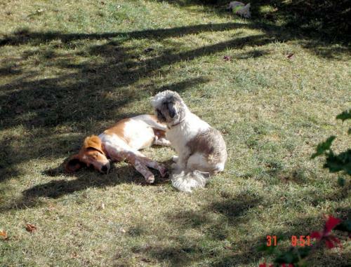 Bed & Breakfast Aux Plumes De Grigy