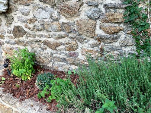 Hostal G�tes Du Manoir Du Haut Salmon