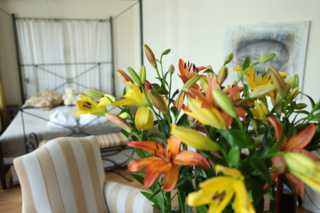 Hotel Freys