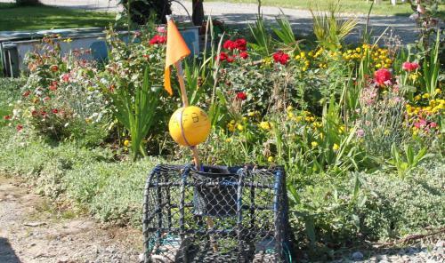 Bed & Breakfast Chambres D'h�tes Du Manoir Du Haut Salmon