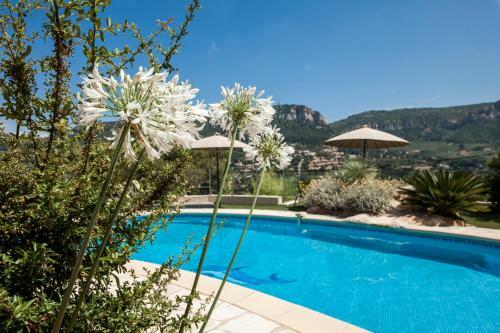 Bed & Breakfast La Demeure Insoup�onn�e