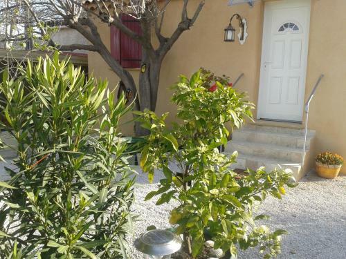 B&B Le Clos Des Cigales