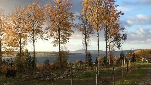 S�rbyg�rden Bed & Breakfast