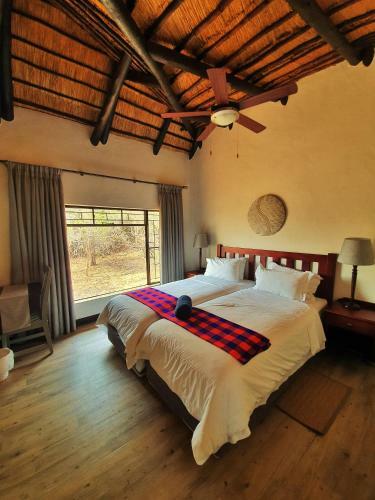Phelwana Game Lodge