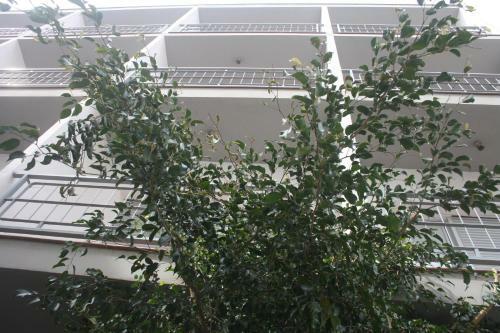 Hostal Torre Mar