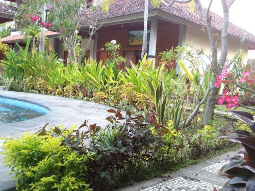 Hostal My Lovina Villa