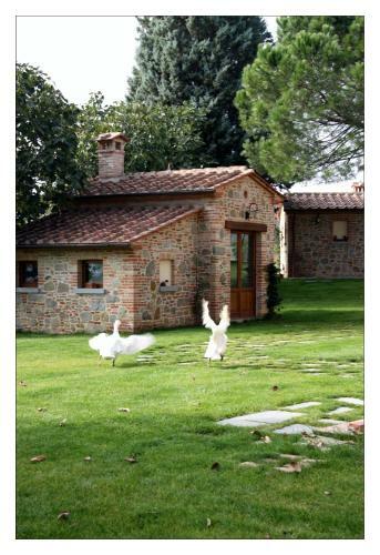 Agroturismo Podere Pendolino