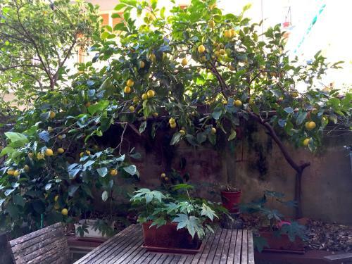 Apartamento Appartamento Rita