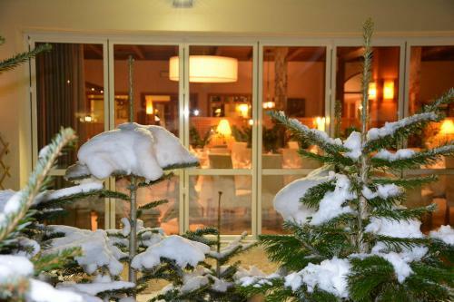 Hotel Zum Turm
