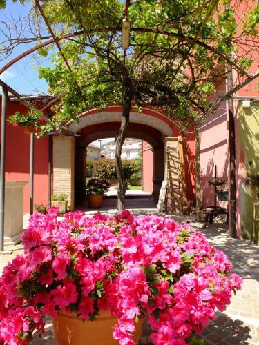 L'upupa B&B
