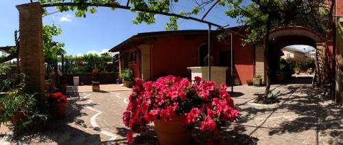 L'upupa B&B