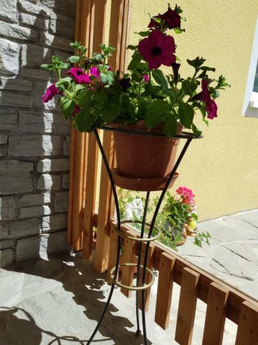 Apartamento Appartement K�nigslehen