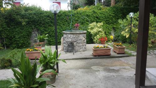 Bed & Breakfast Al Castagno