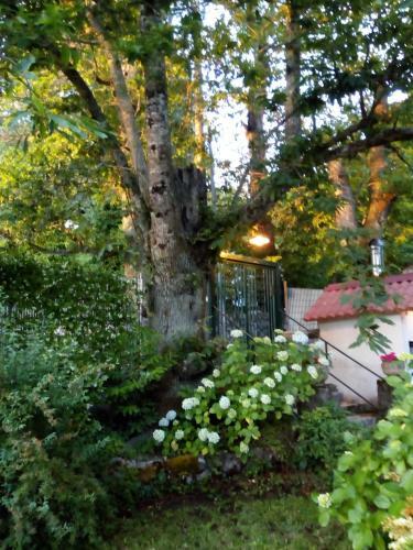 Bed & Breakfast Al Castagno