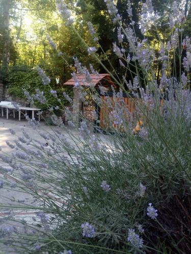 Bed & Breakfast Al Castagno