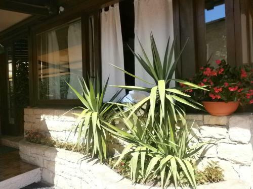 Hotel Albergo Al Pescatore