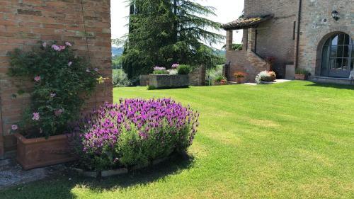 Agroturismo Macciangrosso