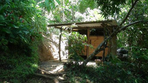 Bed & Breakfast Ka'kau Jungle Cabinas
