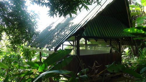 Bed & Breakfast Ka'kau Jungle Cabinas