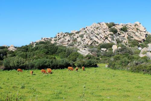 Apartamento Costa Serena Village Boschetto Holiday