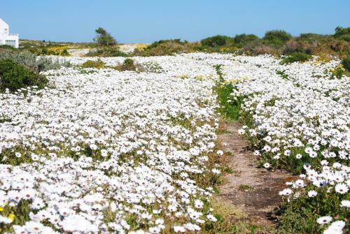 Hostal Stay At Emily In Paternoster Self Catering Accommodation