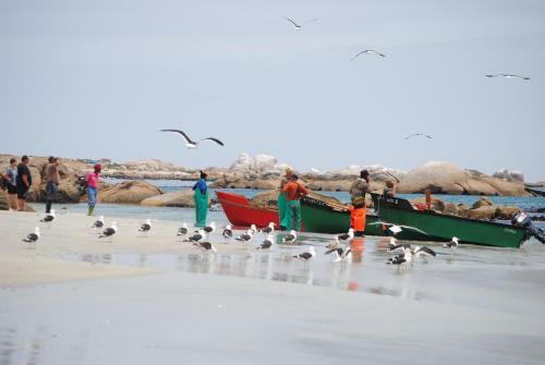 Hostal Stay At Emily In Paternoster Self Catering Accommodation