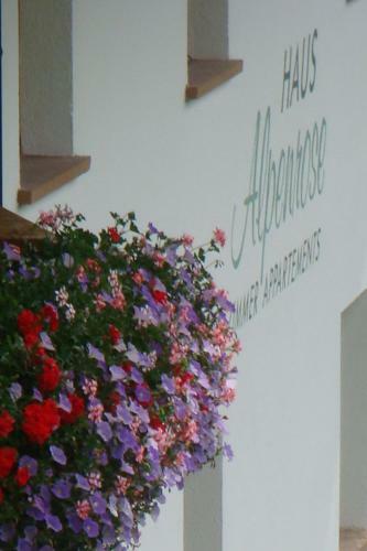 Apartamento Pension Alpenrose