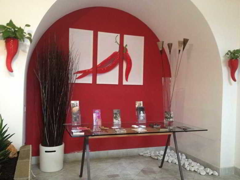 Bed & Breakfast Belle Arti Resort