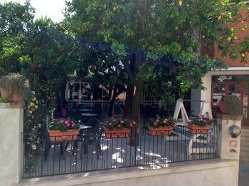 Hotel Angelina