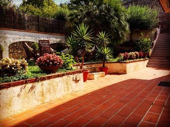 Bed & Breakfast Mediterraneo