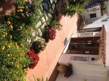 Bed & Breakfast Mediterraneo