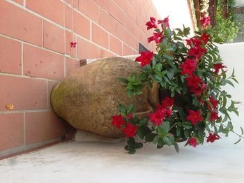 Bed & Breakfast Mediterraneo