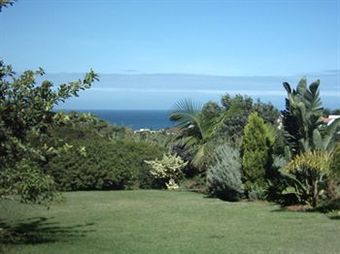 Hostal Dolphin View Guesthouse
