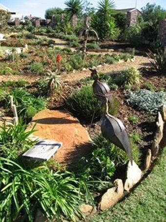 Hostal Dolphin View Guesthouse