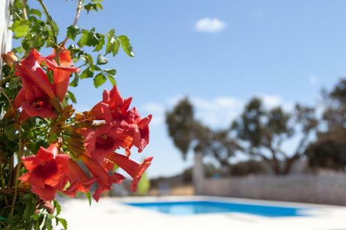 Agroturismo Monte Farropo