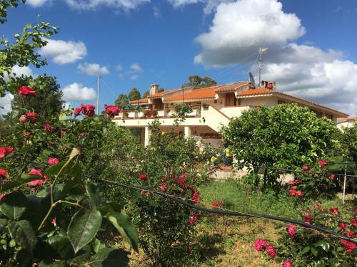 La Yucca B&B