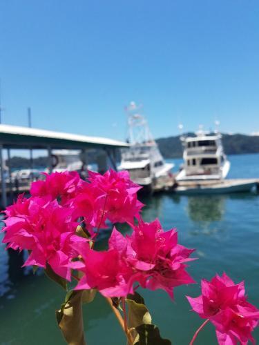 Hotel Banana Bay Marina