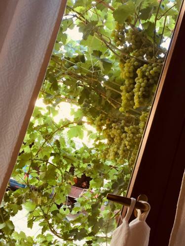 Bed & Breakfast Il Portico Guesthouse