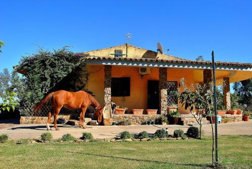 Agroturismo Agriturismo Monte Majore