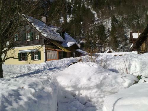 Apartamento Haus Fratnik