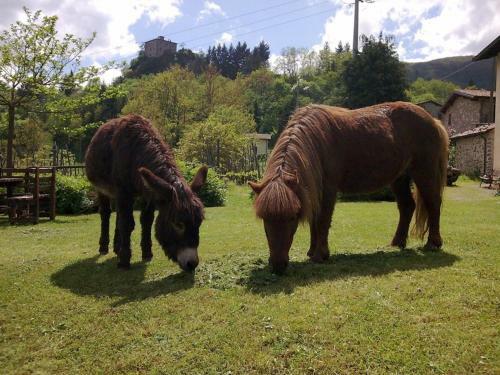 Agroturismo Agriturismo Polla