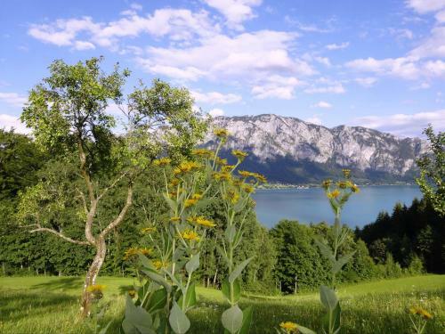 Agroturismo Ferienhof Margarethengut