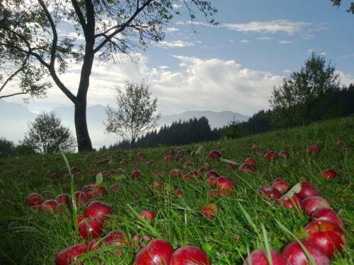 Agroturismo Ferienhof Margarethengut