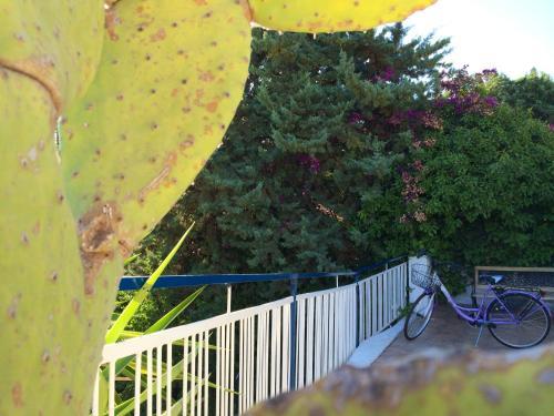 Hotel Blue Island Villa Caterina