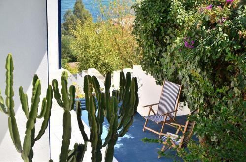 Hotel Blue Island Villa Caterina