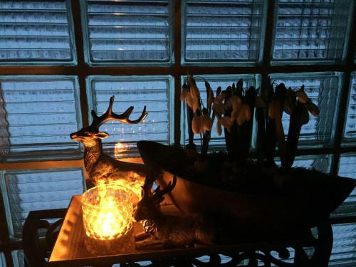 Hostal Pension Haus Am Wald