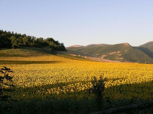 Agroturismo Residence I Girasoli