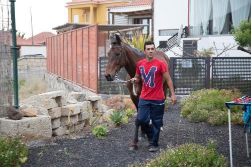 Casas Alberto